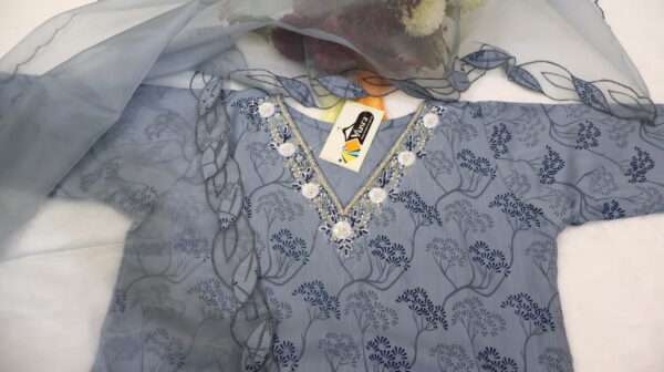 Kurta and Organza Dupatta - Image 3