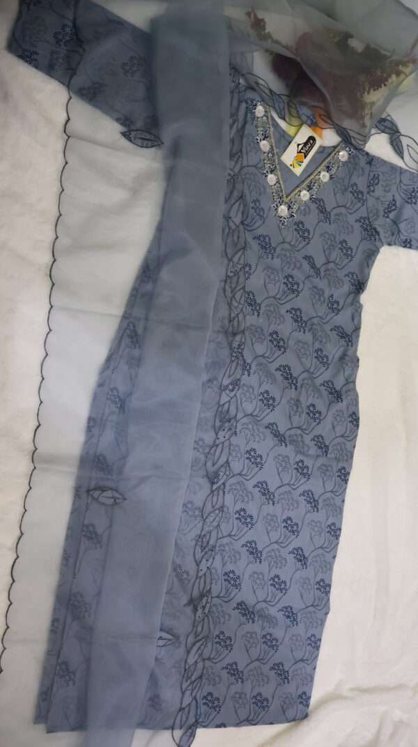 Kurta and Organza Dupatta - Image 4