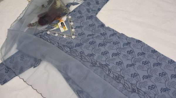 Kurta and Organza Dupatta - Image 5