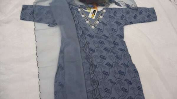 Kurta and Organza Dupatta - Image 6
