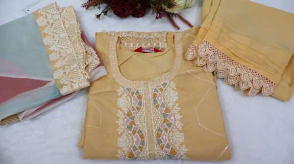 Organza Kurta Pant with Dupatta