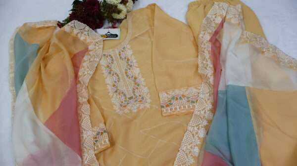 Organza Kurta Pant with Dupatta