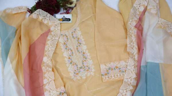 Tissue Organza Kurta