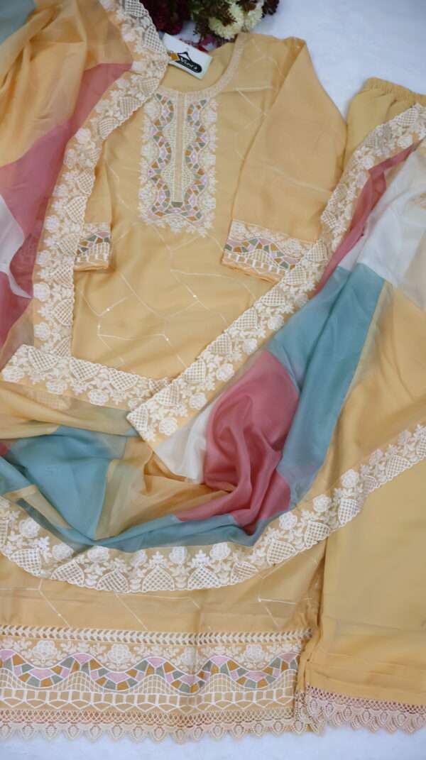 Tissue Organza Kurta