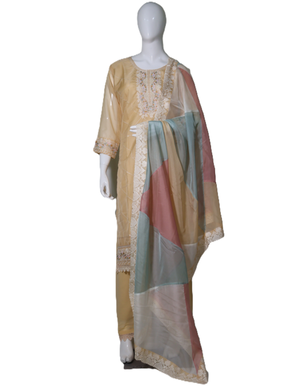 Organza Kurta Pant with Dupatta - Image 6