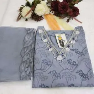 Kurta and Organza Dupatta